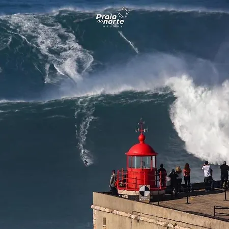 Rosa Holiday home Nazare